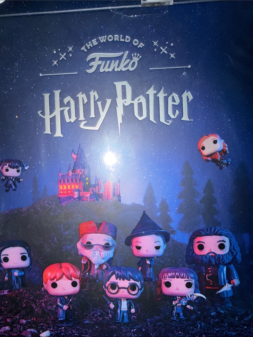 The world of Fuko, Harry Potter